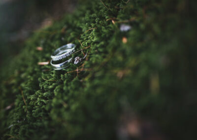 Fotografi af vielsesringe på baggrund af mos, billedet er taget ved langesøskoven på fyn